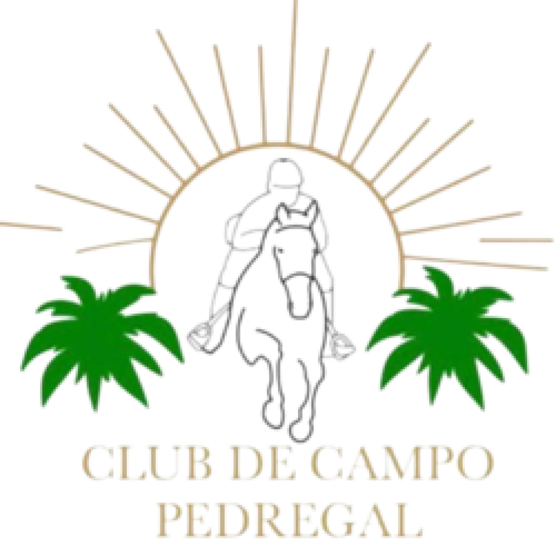 Hipica El Pedregal